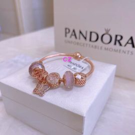 Picture of Pandora Bracelet 9 _SKUPandoraBracelet17-21cmC021110014258